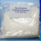 Poudre crue 360-70-3 de Decanoate Deca Durabolin de Nandrolone de poudre de stéroïdes anabolisant de 99%