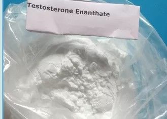 Les stéroïdes anabolisant saupoudrent la poudre d'Enanthate de testostérone de 99% employée pour muscle le bâtiment 315-37-7