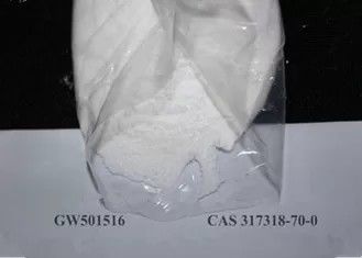 CAS 317318-70-0 stéroïdes de SARMs Gw501516 Cardarine pour la résistance/grosse combustion
